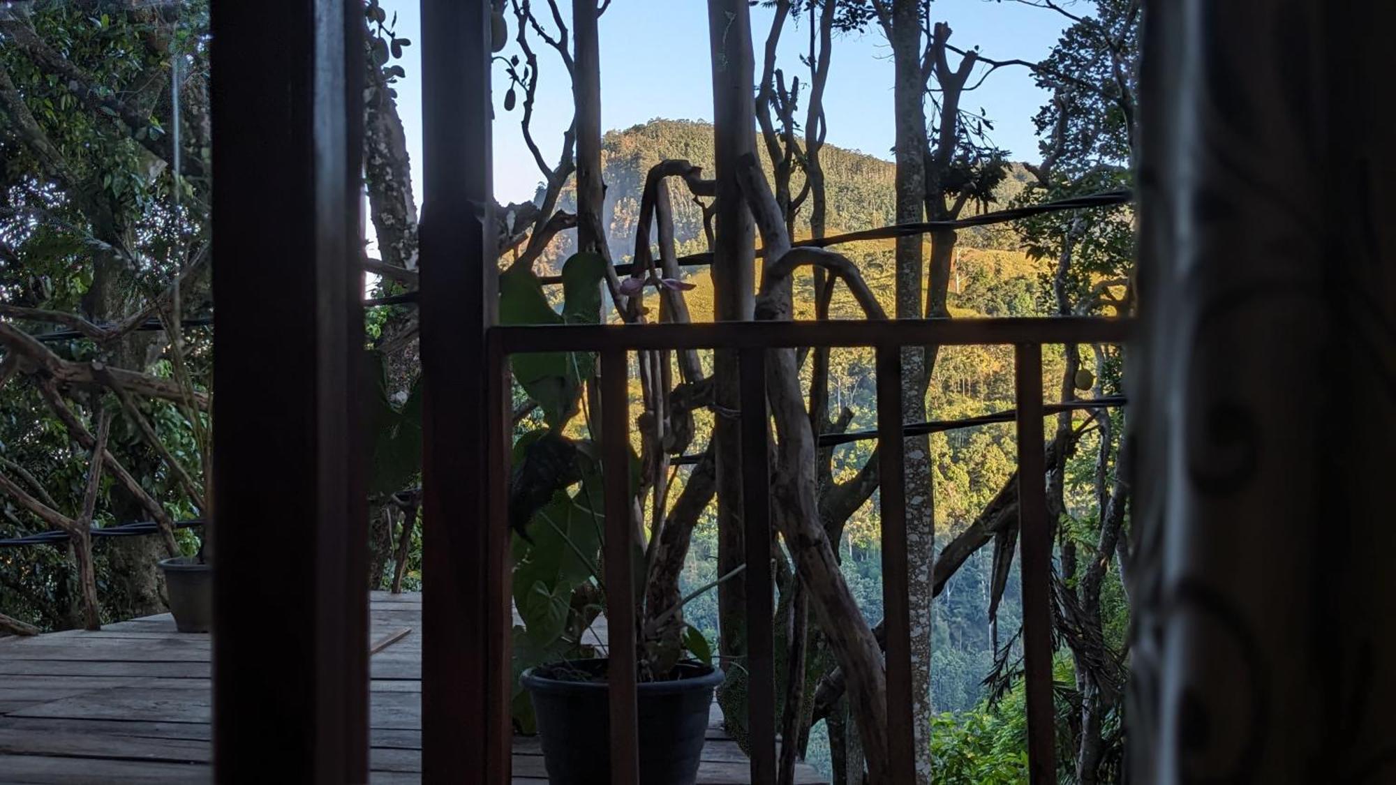 Ella Nature Nest Pokoj fotografie